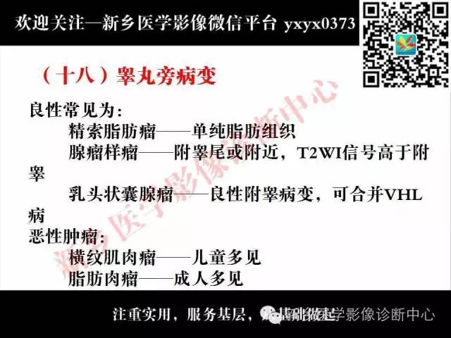 【PPT】阴囊病变影像诊断