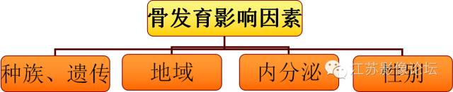 骨龄概况及其测评方法
