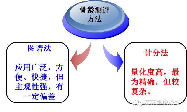 骨龄概况及其测评方法