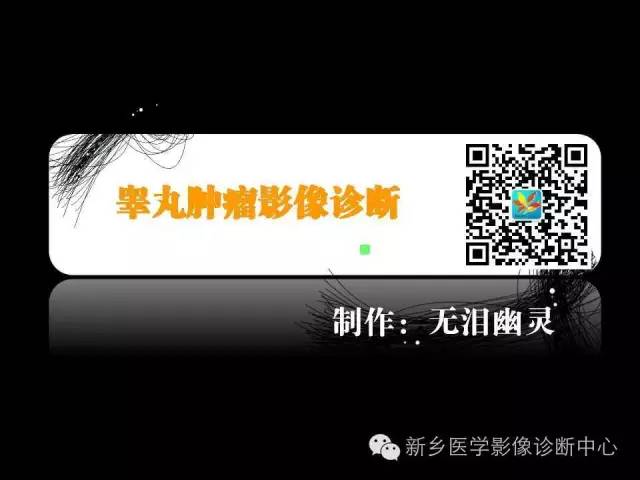 【PPT】睾丸肿瘤影像诊断