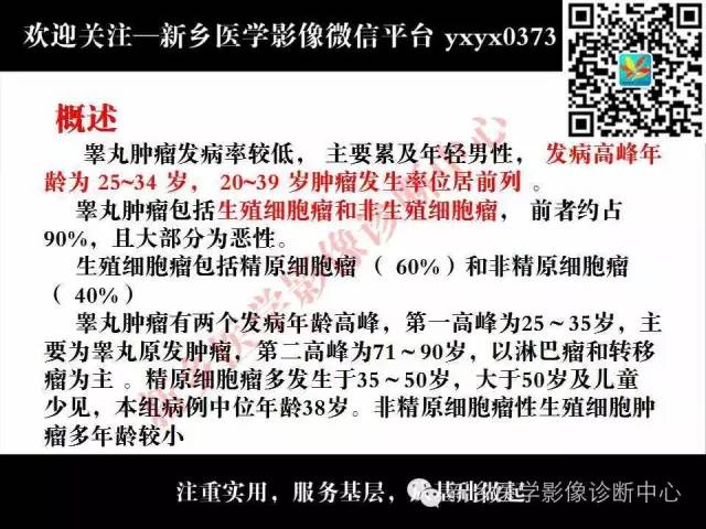 【PPT】睾丸肿瘤影像诊断