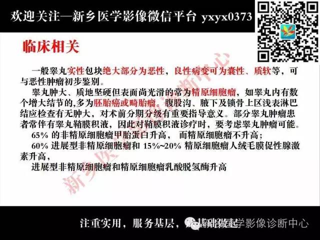 【PPT】睾丸肿瘤影像诊断