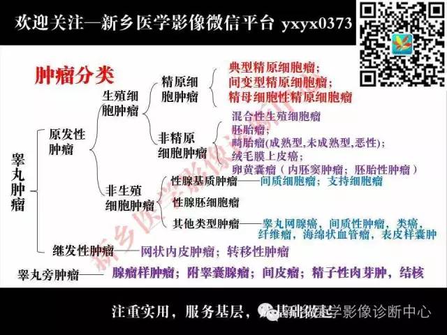 【PPT】睾丸肿瘤影像诊断