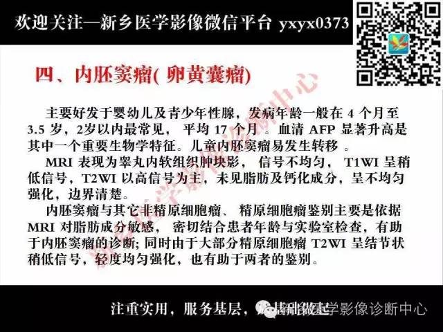 【PPT】睾丸肿瘤影像诊断