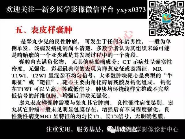 【PPT】睾丸肿瘤影像诊断
