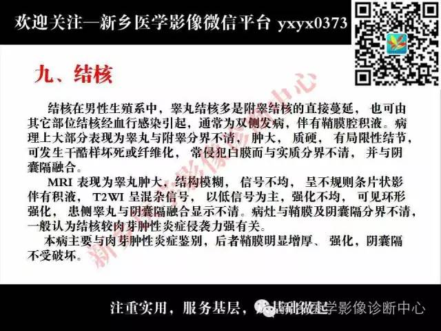【PPT】睾丸肿瘤影像诊断