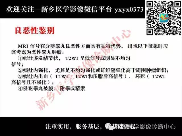 【PPT】睾丸肿瘤影像诊断