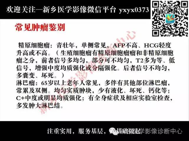 【PPT】睾丸肿瘤影像诊断