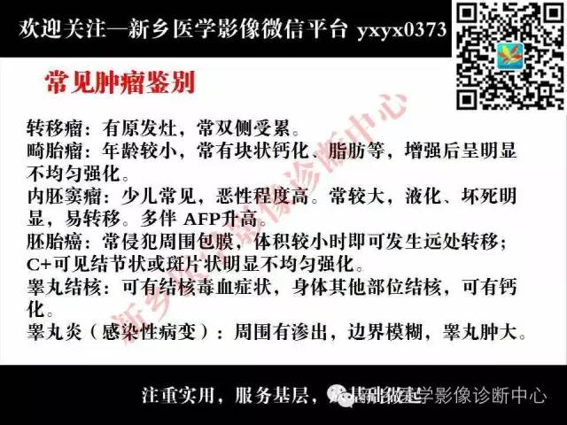【PPT】睾丸肿瘤影像诊断