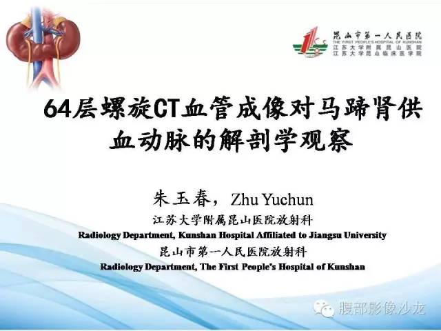 【PPT】64层螺旋CT血管成像对马蹄肾供血动脉的解剖学观察