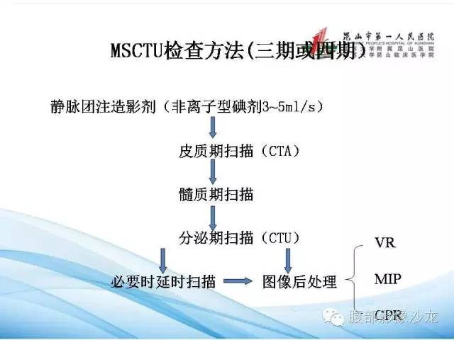 【PPT】64层螺旋CT血管成像对马蹄肾供血动脉的解剖学观察 【PPT】64层螺旋CT血管成像对马蹄肾供血动脉的解剖学观察