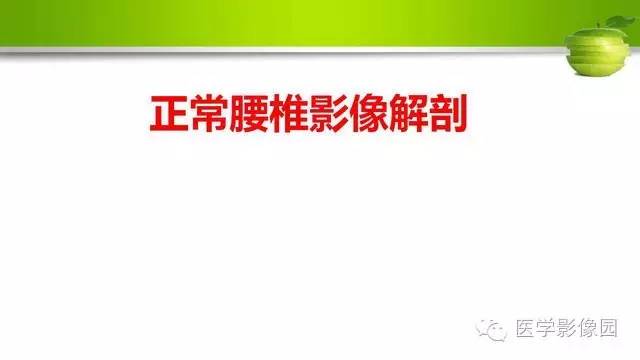 【PPT】腰椎阅片技巧