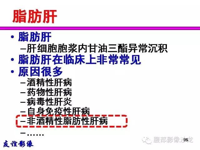 【PPT】脂肪肝CT、MRI定量分析