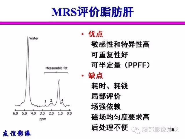 【PPT】脂肪肝CT、MRI定量分析