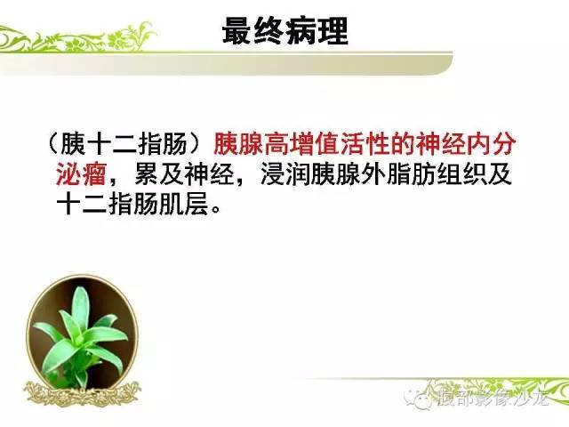 【病例】胰腺神经内分泌瘤1例CT影像表现