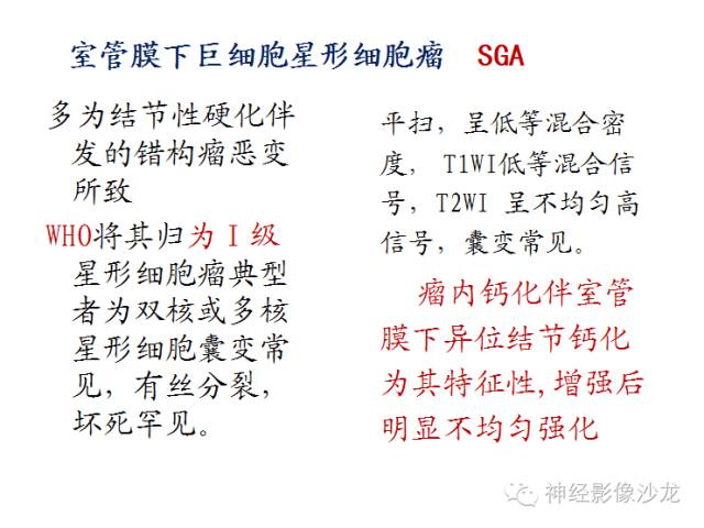 【病例】颅内神经元错构瘤1例CT及MR影像表现