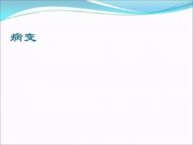 【PPT】儿童髋关节病变的影像学表现
