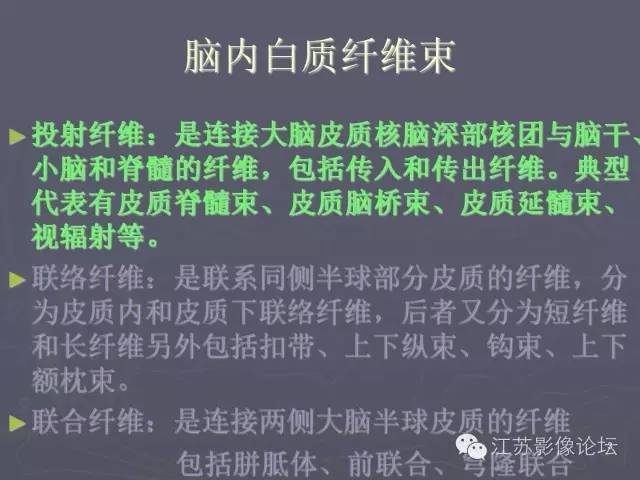 【PPT】磁共振DTI成像-投射纤维