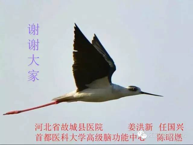 【PPT】磁共振DTI成像-投射纤维