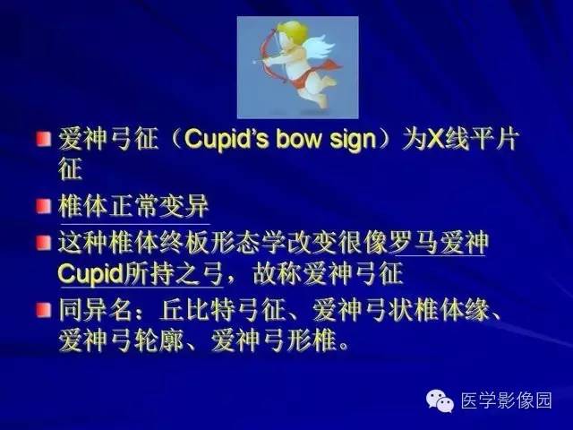 【PPT】脊柱各种征象的介绍