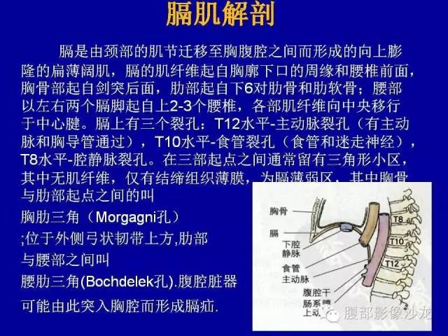 【病例】右侧膈肌透明细胞腺癌1例MR影像表现 【病例】右侧膈肌透明细胞腺癌1例MR影像表现