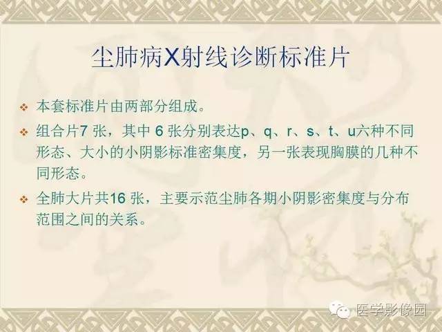 【PPT】尘肺病诊断标准&标准片阅片解读