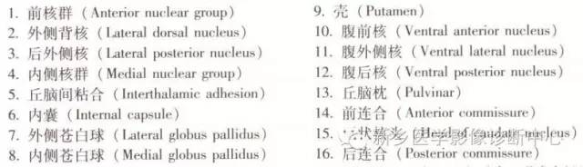 深刻了解丘脑解剖和血供 深刻了解丘脑解剖和血供