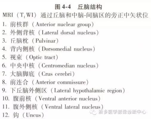 深刻了解丘脑解剖和血供 深刻了解丘脑解剖和血供