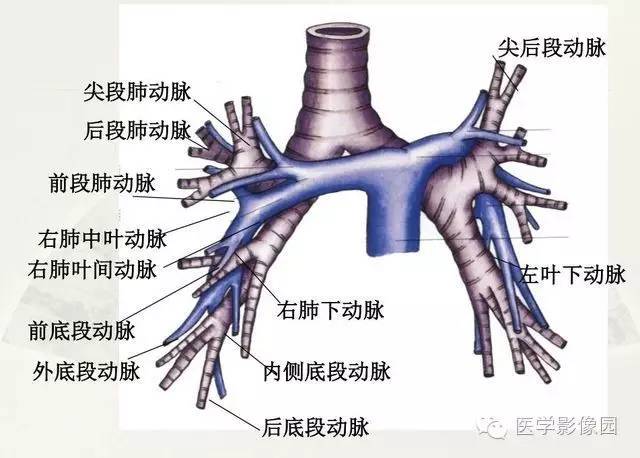 【PPT】大血管疾病的MR诊断