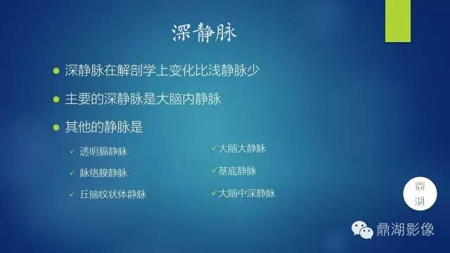高清头颅静脉系统解剖