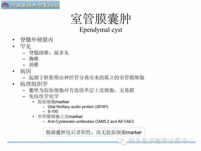 【PPT】椎管内囊性病变影像诊断