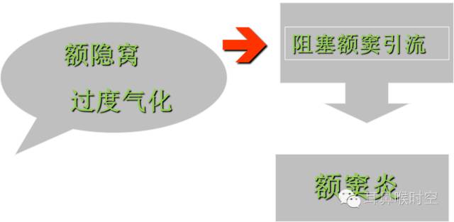 经常看鼻窦,您知道鼻窦的哪些变异与鼻窦炎和手术有关系吗? 经常看鼻窦,您知道鼻窦的哪些变异与鼻窦炎和手术有关系吗?