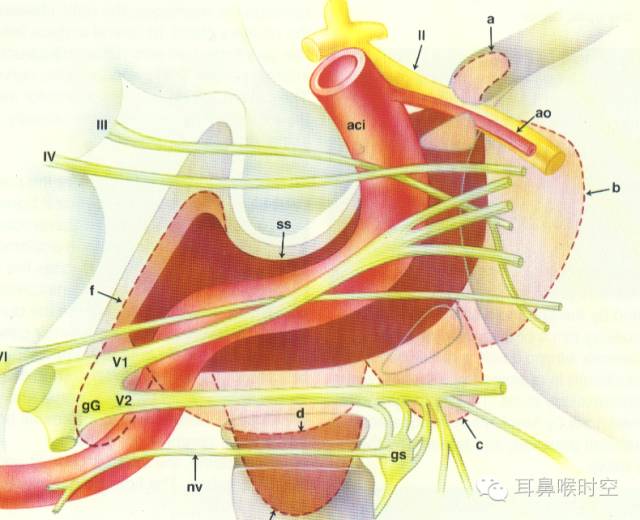经常看鼻窦,您知道鼻窦的哪些变异与鼻窦炎和手术有关系吗? 经常看鼻窦,您知道鼻窦的哪些变异与鼻窦炎和手术有关系吗?