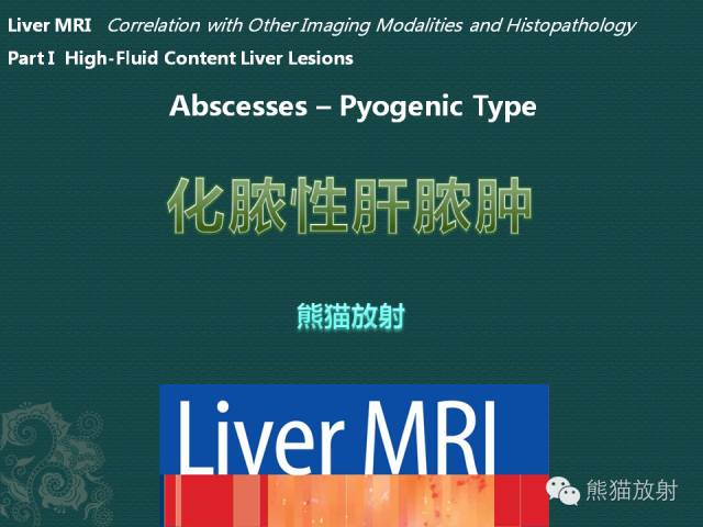 【PPT】化脓性肝脓肿
