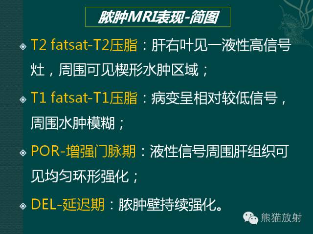 【PPT】化脓性肝脓肿