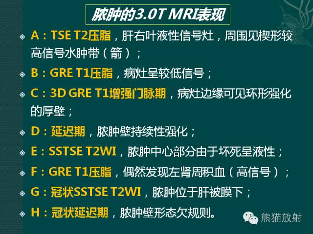 【PPT】化脓性肝脓肿