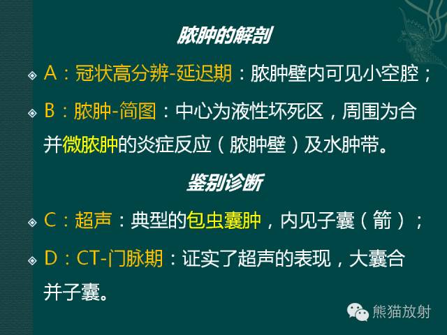 【PPT】化脓性肝脓肿