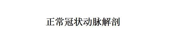 【PPT】正常冠状动脉解剖