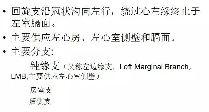 【PPT】正常冠状动脉解剖