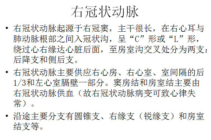 【PPT】正常冠状动脉解剖