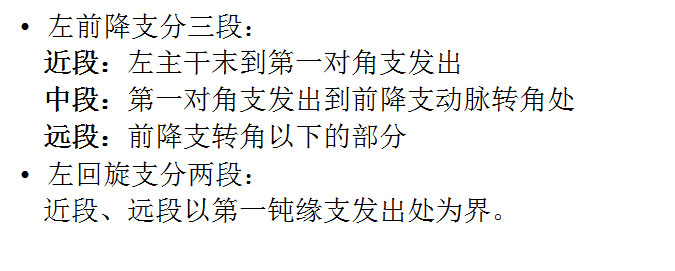 【PPT】正常冠状动脉解剖