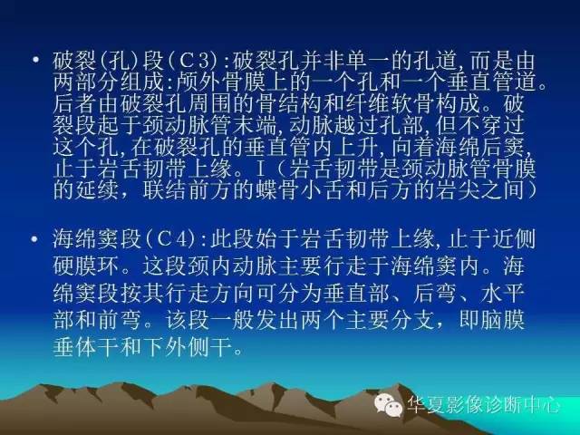 【PPT】脑血管详细解剖带分段