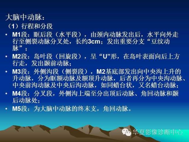 【PPT】脑血管详细解剖带分段