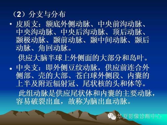 【PPT】脑血管详细解剖带分段