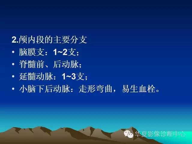 【PPT】脑血管详细解剖带分段