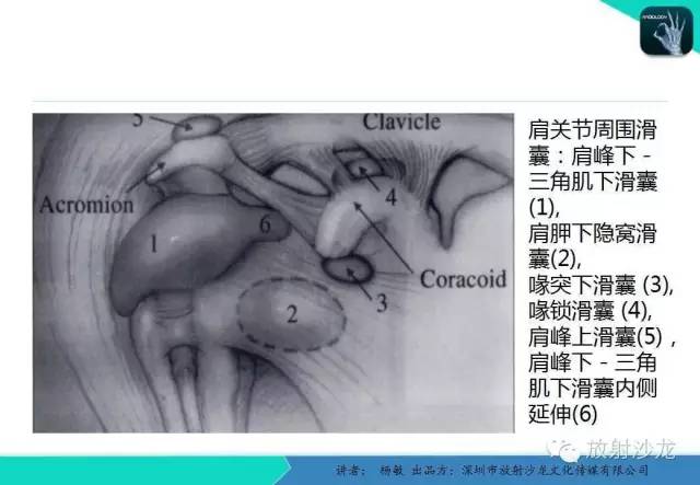 【PPT】滑囊