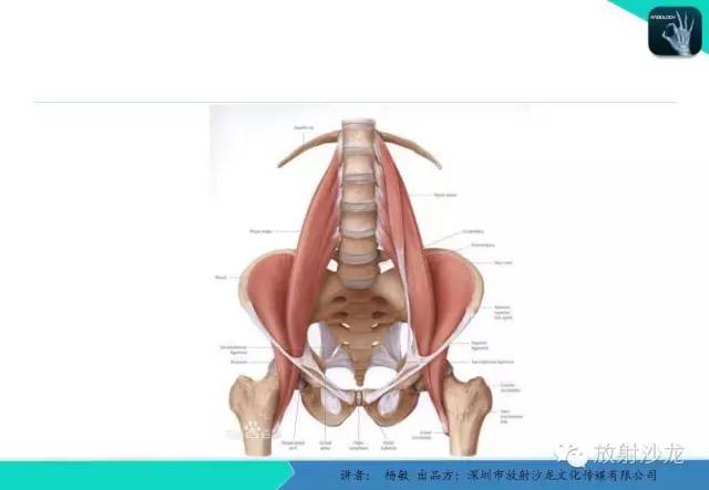 【PPT】滑囊