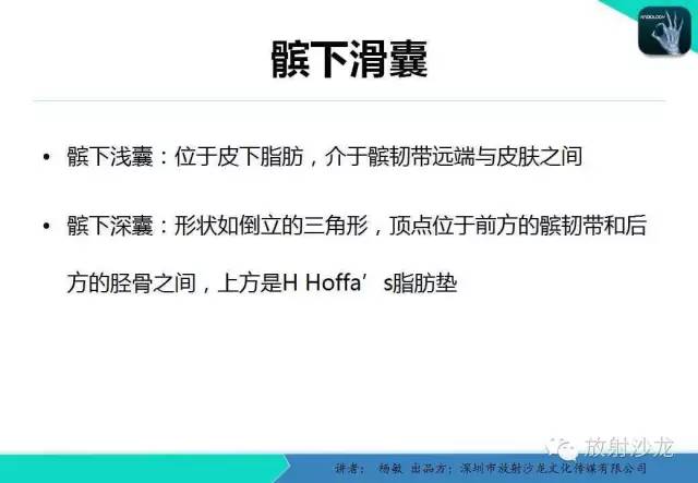 【PPT】滑囊
