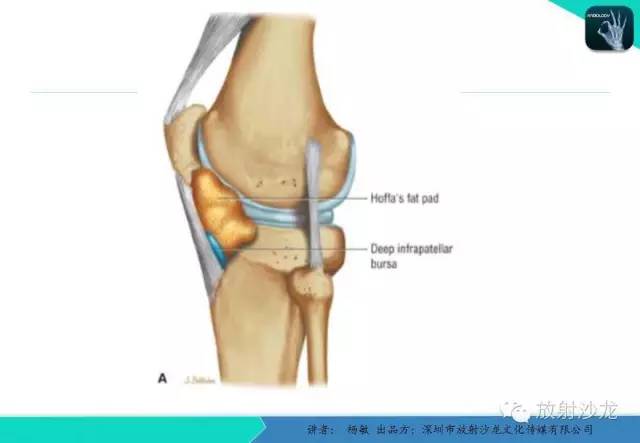 【PPT】滑囊