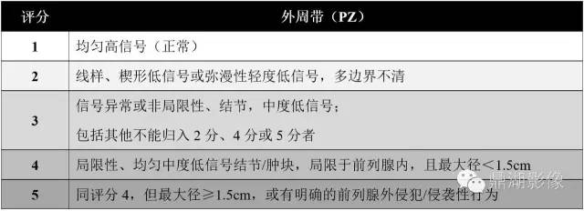 前列腺影像结构式报告